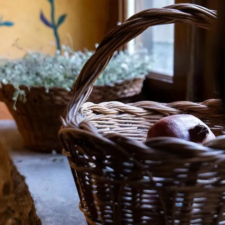 Casa Maria Berna * Sarvisé