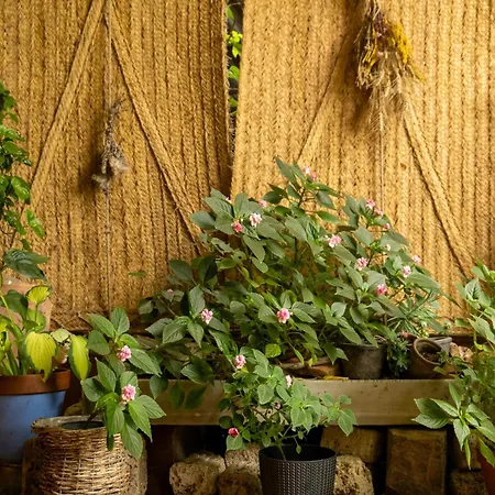 Casa Maria Berna Sarvisé