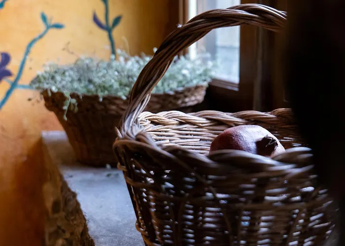 Casa Maria Berna * Sarvisé