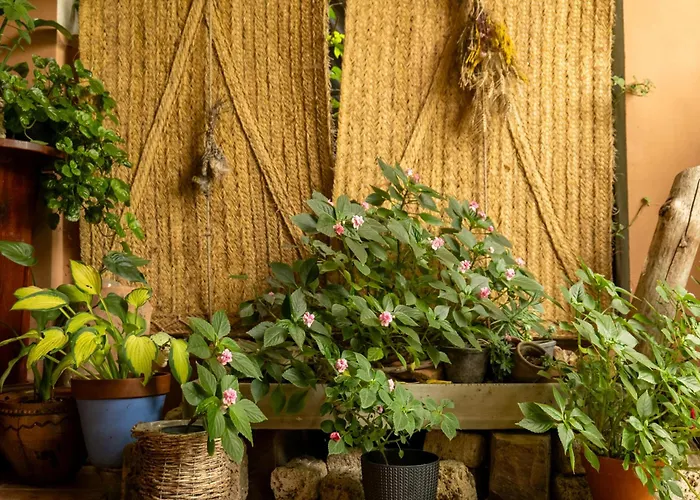 Casa Maria Berna Sarvisé